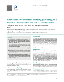 Autonomic nervous system: anatomy, physiology