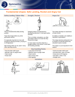 Fundamental shapes: Safe Landing, Rocket and Angry Cat