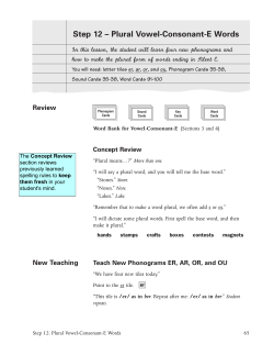 Step 12 &ndash; Plural Vowel-Consonant