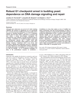 Robust G1 checkpoint in budding yeast