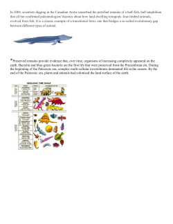 In 2004, scientists digging in the Canadian Arctic unearthed the