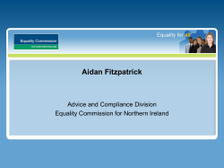 The role of equality bodies in making positive action effective