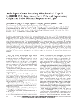 Arabidopsis Genes Encoding Mitochondrial Type