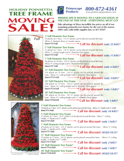 Poinsettia Tree-Frame Special!