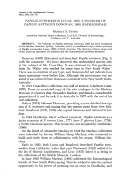 PAPILIO EURYMEDON LUCAS, 1852: A SYNONYM OF PAPILIO