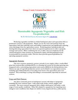 Sustainable Aquaponic Vegetable and Fish Co