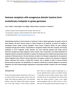 Immune receptors with exogenous domain fusions form