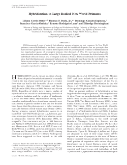 Hybridization in Large-Bodied New World Primates