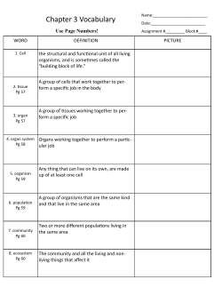 Chapter 3 Vocabulary
