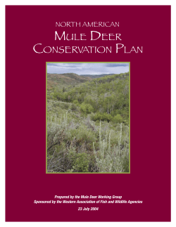 mule deer conservation plan