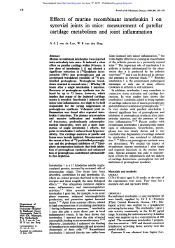 Effects of murine recombinant interleukin 1 on synovial joints in mice