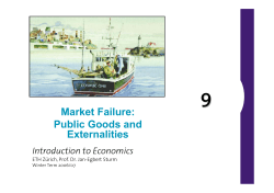 Market Failure: Public Goods and Externalities