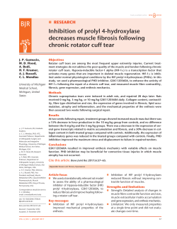 Inhibition of prolyl 4-hydroxylase decreases muscle fibrosis