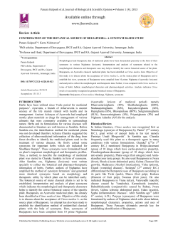 confirmation of the botanical source of beejapoora: a synonym