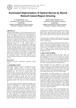 Automated Segmentation of Optical Nerves by Neural Network