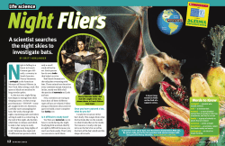 A scientist searches the night skies to investigate bats.