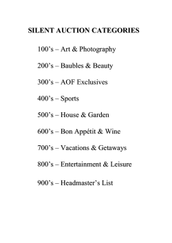 SILENT AUCTION CATEGORIES