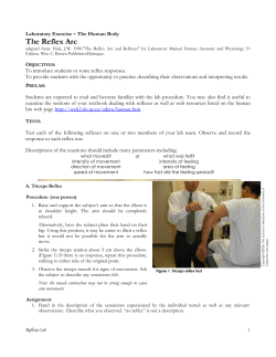 The Reflex Arc - SLC Home Page