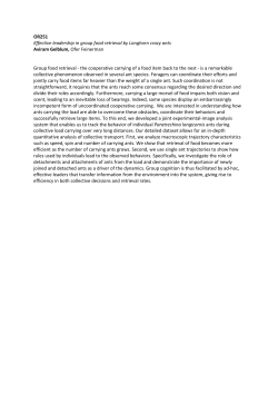 OR251 Effective leadership in group food retrieval by Longhorn