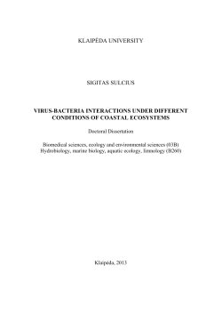 klaipėda university sigitas sulcius virus