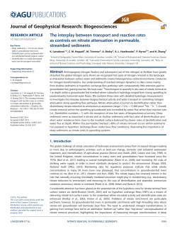 The interplay between transport and reaction rates as controls on