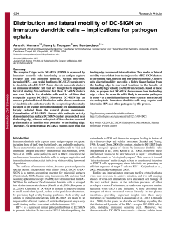 Distribution and lateral mobility of DC