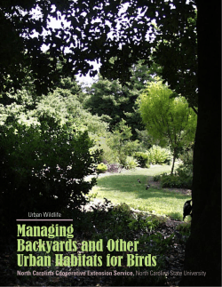 Managing Backyards and Other Urban Habitats for Birds | NC State