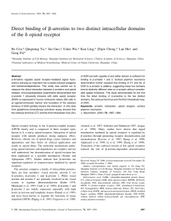 Direct binding of b-arrestins to two distinct intracellular domains of