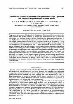 Plasmids and Symbiotic Effectiveness of