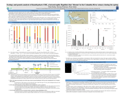 Ecology and genetic analysis of Katablepharis CRE, a heterotrophic