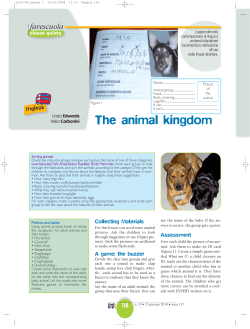 The animal kingdom