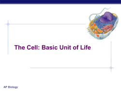 Chapter 7. The Cell: Basic Unit of Life