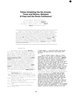 Fishes Inhabiting the Rio Grande, Texas and Mexico, Between El