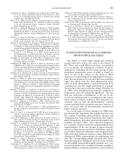 is photosynthesis really derived from purple bacteria?