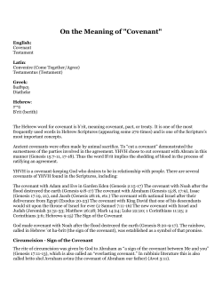 On the Meaning of Covenant