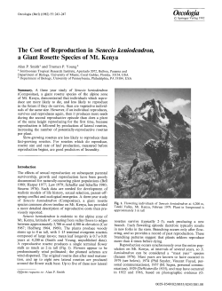 The Cost of Reproduction in Senecio keniodendron