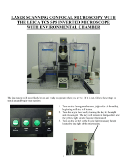 laser scanning confocal microscopy