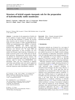 Structure of hybrid organic&ndash;inorganic sols for the preparation of
