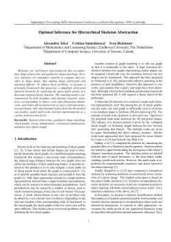 Optimal Inference for Hierarchical Skeleton Abstraction