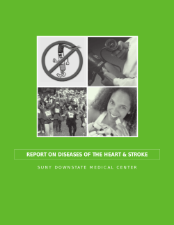 heart stroke report2005