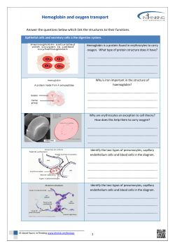 Hemoglobin and oxygen transport