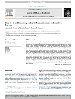 Plant foods and the dietary ecology of Neanderthals and early