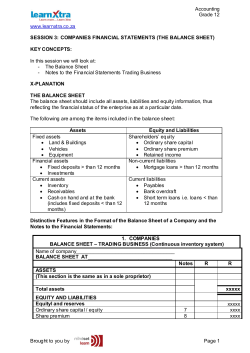 COMPANIES FINANCIAL STATEMENTS