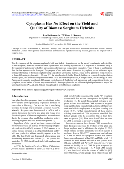 Cytoplasm Has No Effect on the Yield and Quality of Biomass