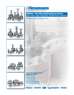 NEWCO - Superior Valve Co.