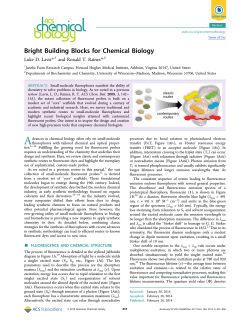 Bright Building Blocks for Chemical Biology