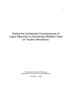 Consequences of lignin reduction on trophic interactions