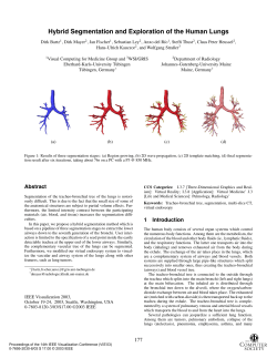 Hybrid Segmentation and Exploration of the Human Lungs