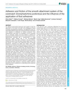 Adhesion and friction of the smooth attachment system of the
