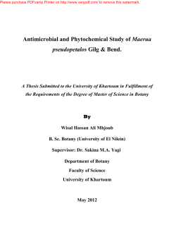 Antimicrobial and Phytochemical Study of Maerua